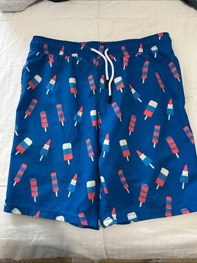 Boy’s Blue Novelty Popsicle Swim Shorts